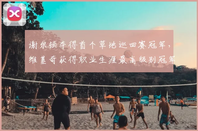 谢尔顿夺得首个草地巡回赛冠军,维基奇获得职业生涯最高级别冠军