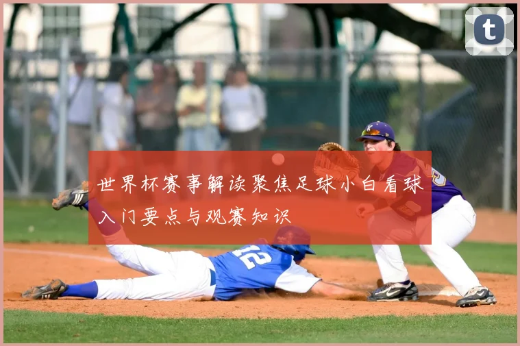 世界杯赛事解读聚焦足球小白看球入门要点与观赛知识