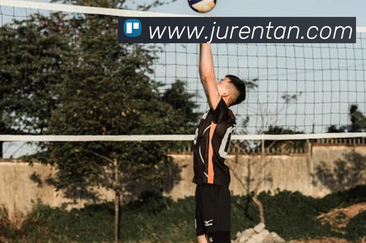 kaiyun官方平台发展历程